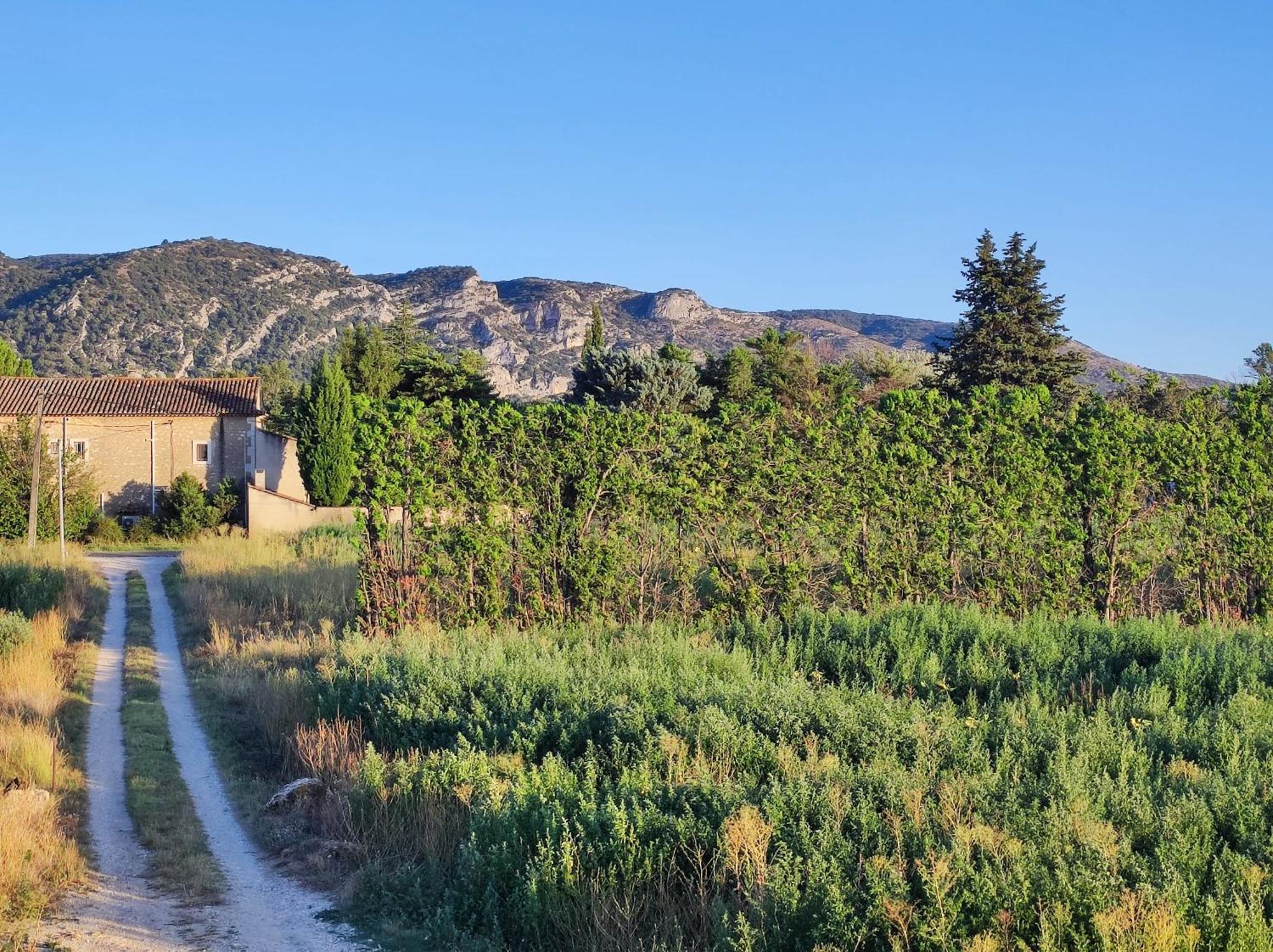 Chambre 3 Personnes Avec Salle De Bain Dans Mas Du Luberon Robion en Luberon Eksteriør bilde