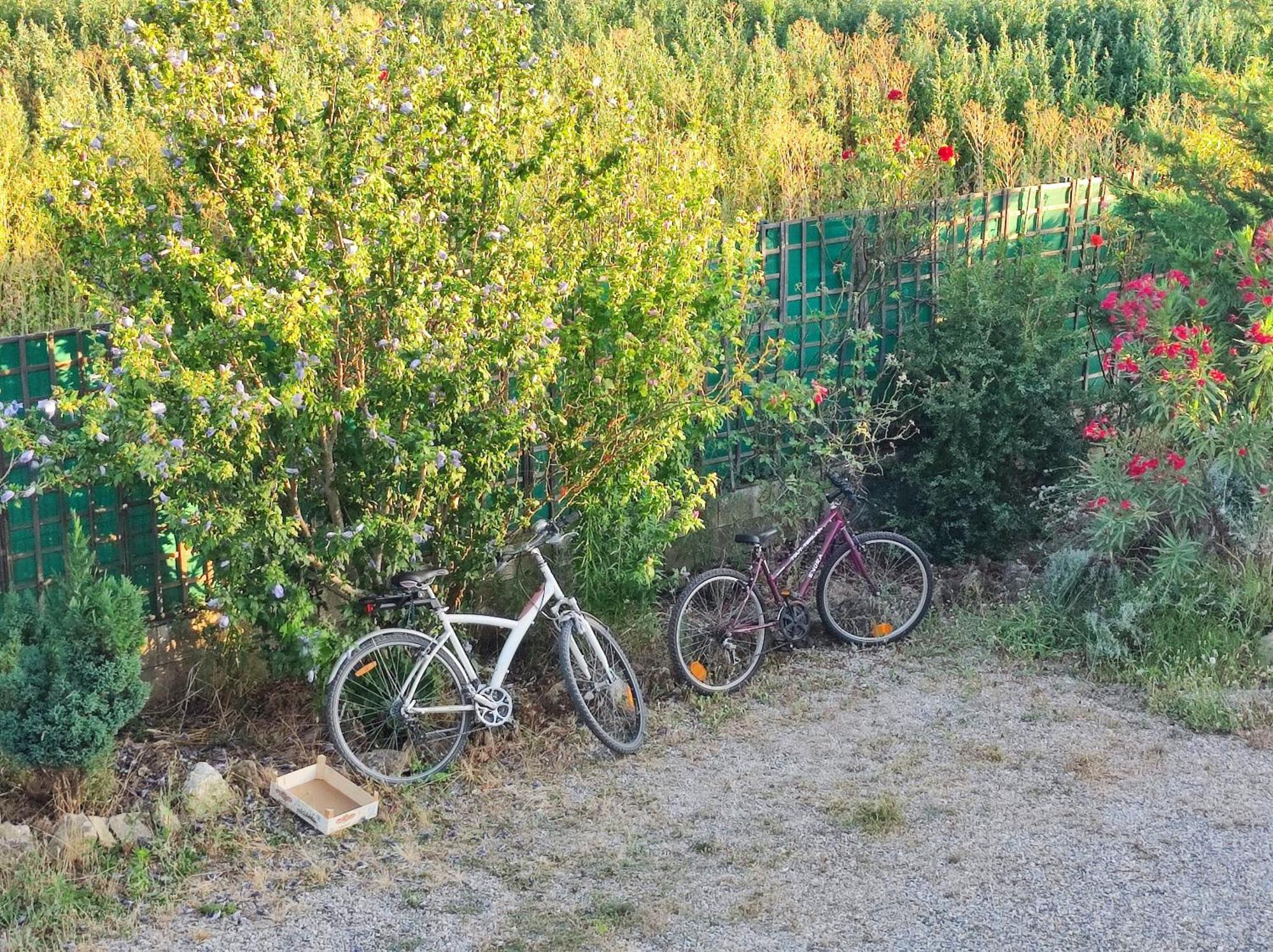 Chambre 3 Personnes Avec Salle De Bain Dans Mas Du Luberon Robion en Luberon Eksteriør bilde